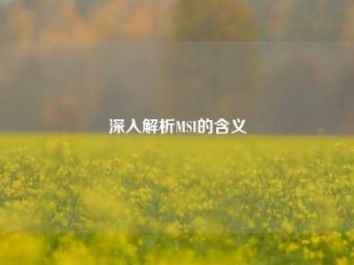 深入解析MSI的含义