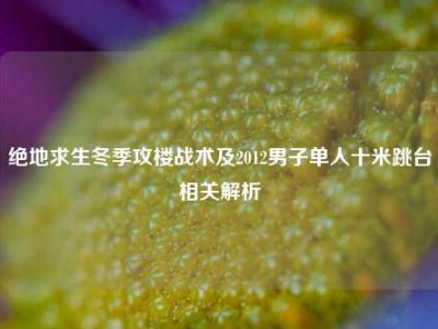 绝地求生冬季攻楼战术及2012男子单人十米跳台相关解析