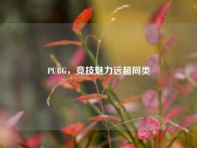 PUBG，竞技魅力远超同类
