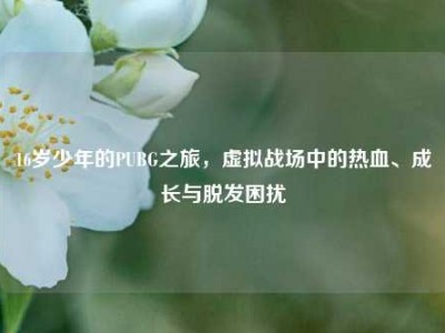 16岁少年的PUBG之旅，虚拟战场中的热血、成长与脱发困扰
