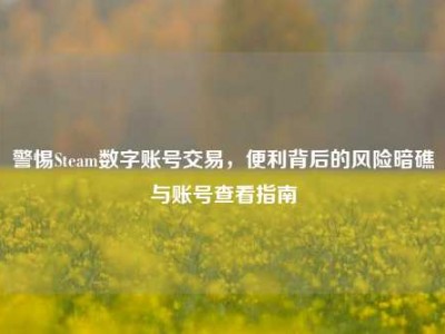 警惕Steam数字账号交易，便利背后的风险暗礁与账号查看指南