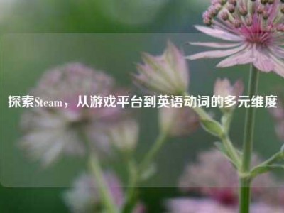 探索Steam，从游戏平台到英语动词的多元维度