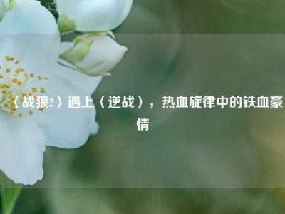 〈战狼2〉遇上〈逆战〉，热血旋律中的铁血豪情