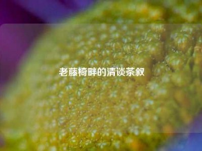 老藤椅畔的清谈茶叙