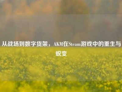 从战场到数字货架，AKM在Steam游戏中的重生与蜕变