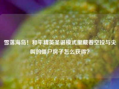 雪落海岛！和平精英圣诞模式里藏着空投与尖叫的僵尸房子怎么获得？