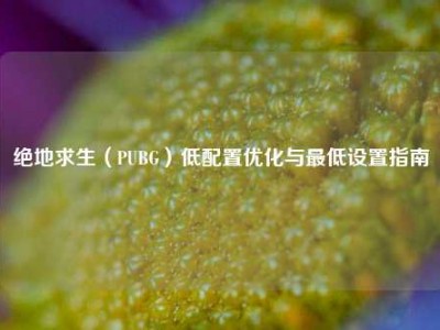 绝地求生（PUBG）低配置优化与最低设置指南