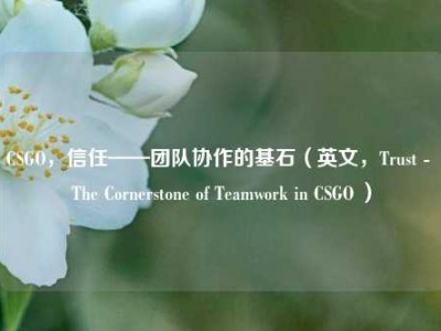 CSGO，信任——团队协作的基石（英文，Trust - The Cornerstone of Teamwork in CSGO ）
