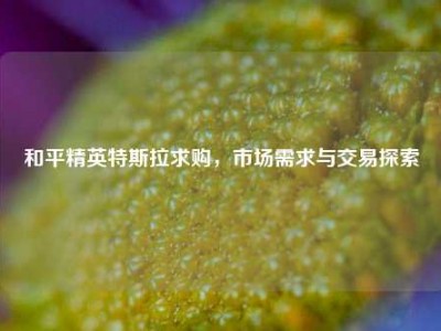 和平精英特斯拉求购，市场需求与交易探索