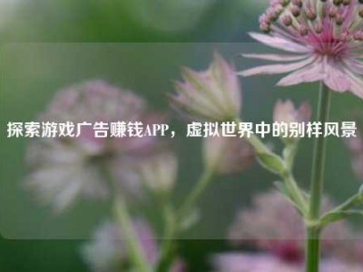 探索游戏广告赚钱APP，虚拟世界中的别样风景