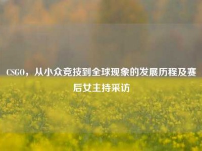 CSGO，从小众竞技到全球现象的发展历程及赛后女主持采访