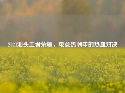 2021汕头王者荣耀，电竞热潮中的热血对决