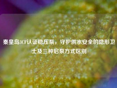 秦皇岛3CF认证稳压泵，守护供水安全的隐形卫士及三种启泵方式区别