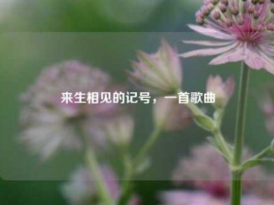 来生相见的记号，一首歌曲