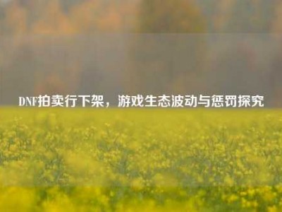 DNF拍卖行下架，游戏生态波动与惩罚探究
