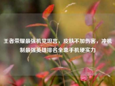 王者荣耀最强机党坦言，皮肤不加伤害，冲机制最强英雄排名全靠手机硬实力
