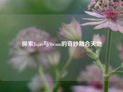 探索Jajav与Steam的奇妙融合天地