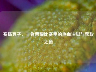 赛场豆子，王者荣耀比赛里的热血注脚与获取之道