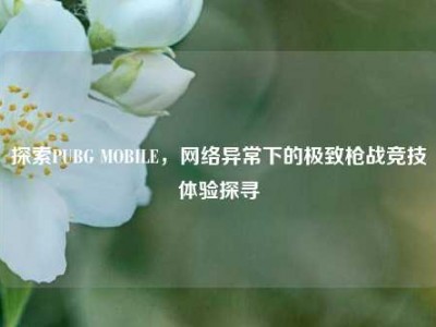 探索PUBG MOBILE，网络异常下的极致枪战竞技体验探寻