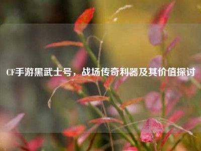 CF手游黑武士号，战场传奇利器及其价值探讨