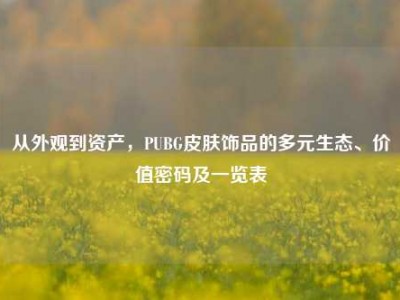 从外观到资产，PUBG皮肤饰品的多元生态、价值密码及一览表