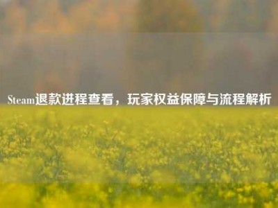 Steam退款进程查看，玩家权益保障与流程解析