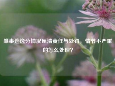肇事逃逸分情况厘清责任与处罚，情节不严重的怎么处理？