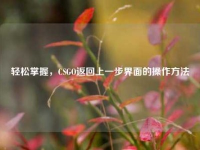轻松掌握，CSGO返回上一步界面的操作方法