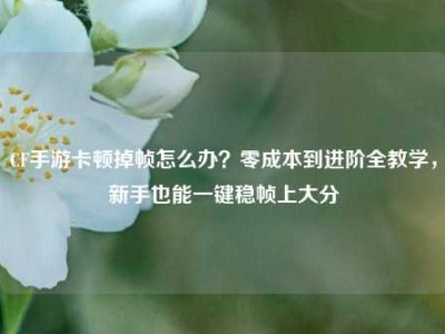 CF手游卡顿掉帧怎么办？零成本到进阶全教学，新手也能一键稳帧上大分