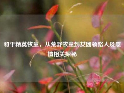 和平精英牧童，从荒野牧童到女团领路人及感情相关探秘