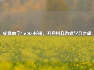 蝴蝶教学与CSGO碰撞，开启别样游戏学习之旅