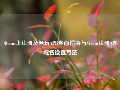 Steam上注册及畅玩APB全面指南与Steam注册API域名设置方法