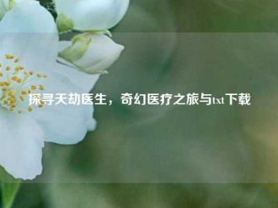探寻天劫医生，奇幻医疗之旅与txt下载