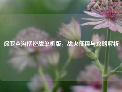 保卫卢沟桥逆战单机版，战火征程与攻略解析