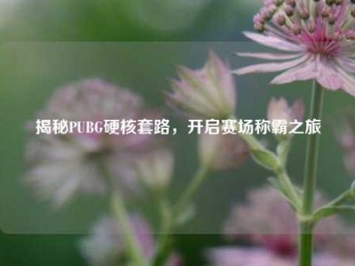 揭秘PUBG硬核套路，开启赛场称霸之旅