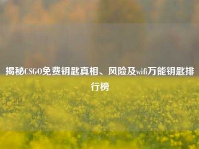 揭秘CSGO免费钥匙真相、风险及wifi万能钥匙排行榜