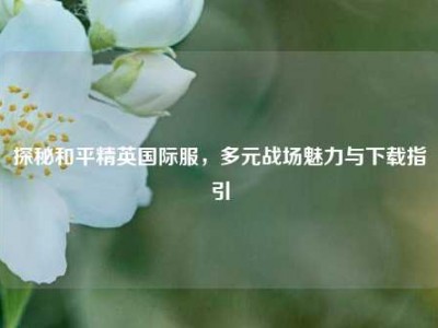 探秘和平精英国际服，多元战场魅力与下载指引