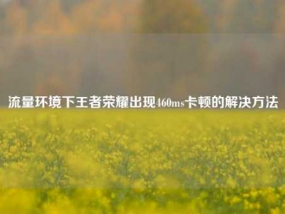 流量环境下王者荣耀出现460ms卡顿的解决方法