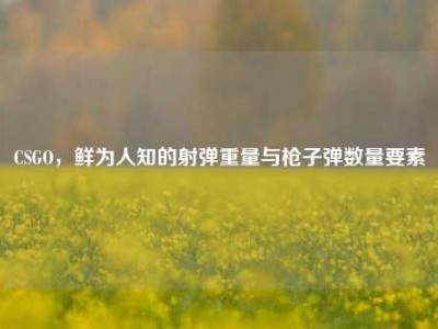CSGO，鲜为人知的射弹重量与枪子弹数量要素