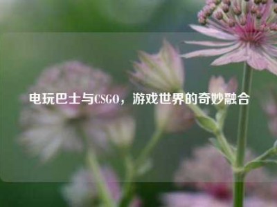 电玩巴士与CSGO，游戏世界的奇妙融合