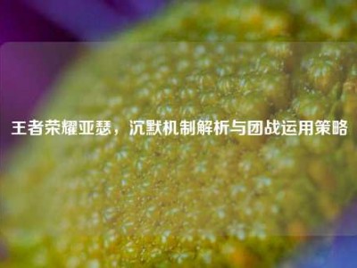 王者荣耀亚瑟，沉默机制解析与团战运用策略