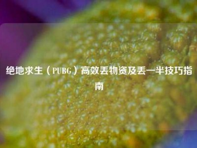 绝地求生（PUBG）高效丢物资及丢一半技巧指南