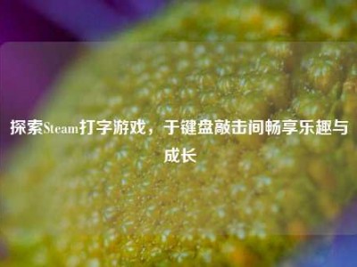 探索Steam打字游戏，于键盘敲击间畅享乐趣与成长