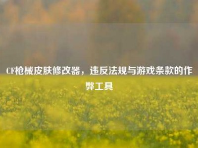 CF枪械皮肤修改器，违反法规与游戏条款的作弊工具