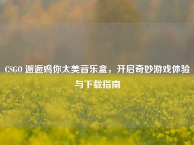 CSGO 邂逅鸡你太美音乐盒，开启奇妙游戏体验与下载指南