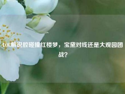 LOL解说腔碰撞红楼梦，宝黛对线还是大观园团战？