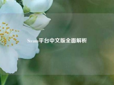 Steam平台中文版全面解析