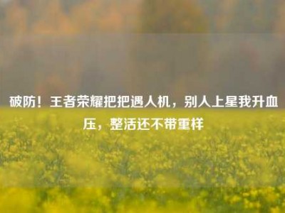 破防！王者荣耀把把遇人机，别人上星我升血压，整活还不带重样