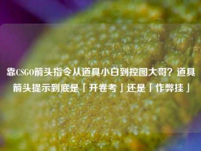 靠CSGO箭头指令从道具小白到控图大哥？道具箭头提示到底是「开卷考」还是「作弊挂」
