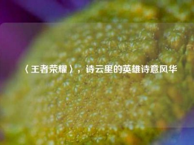 〈王者荣耀〉，诗云里的英雄诗意风华